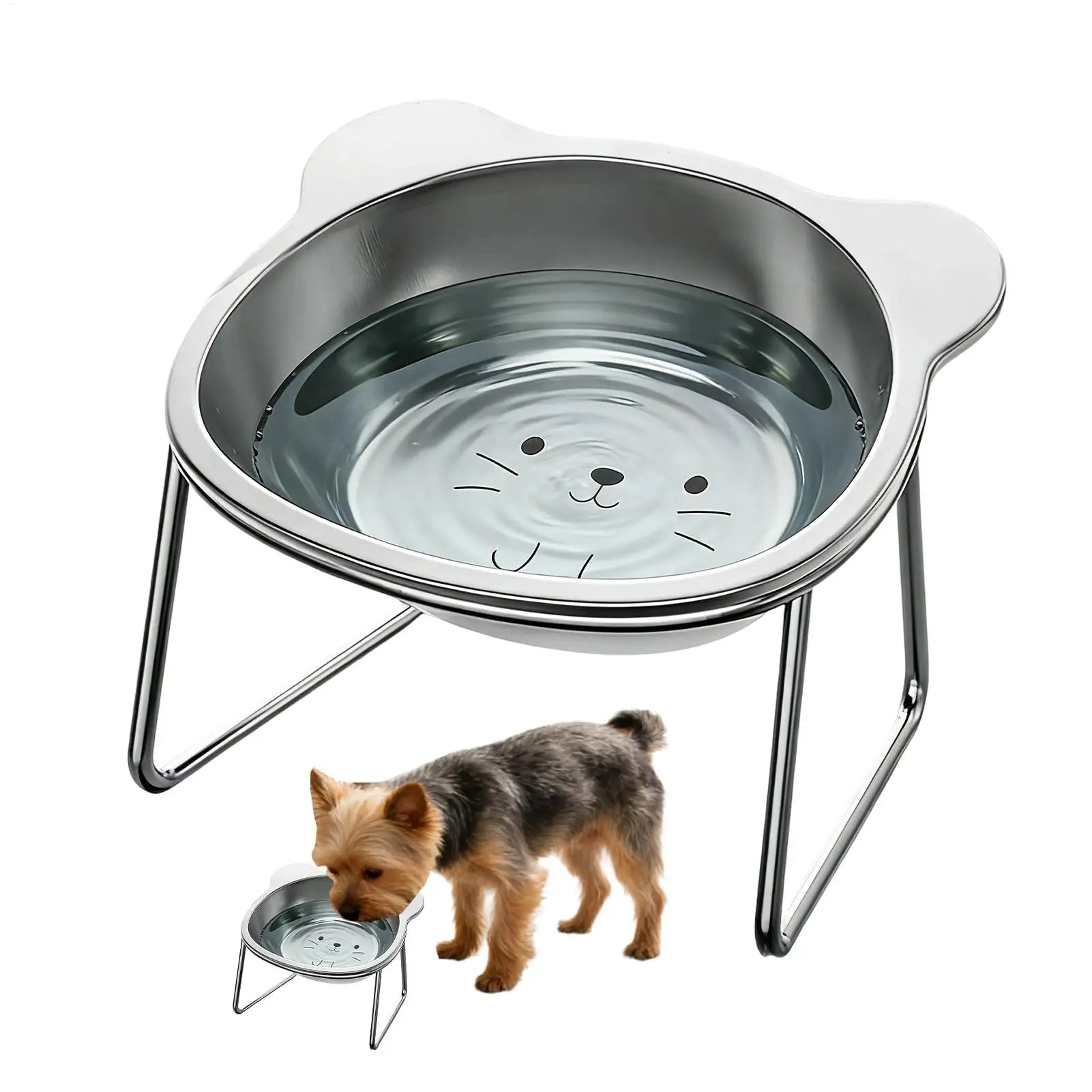 Cat Food Bowls Elevated Stainless Steel 15 Tiltednon-slip Dishes