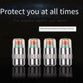 External Tire Pressure Monitor Warning Cap Anti-theft Vacuum Valve
