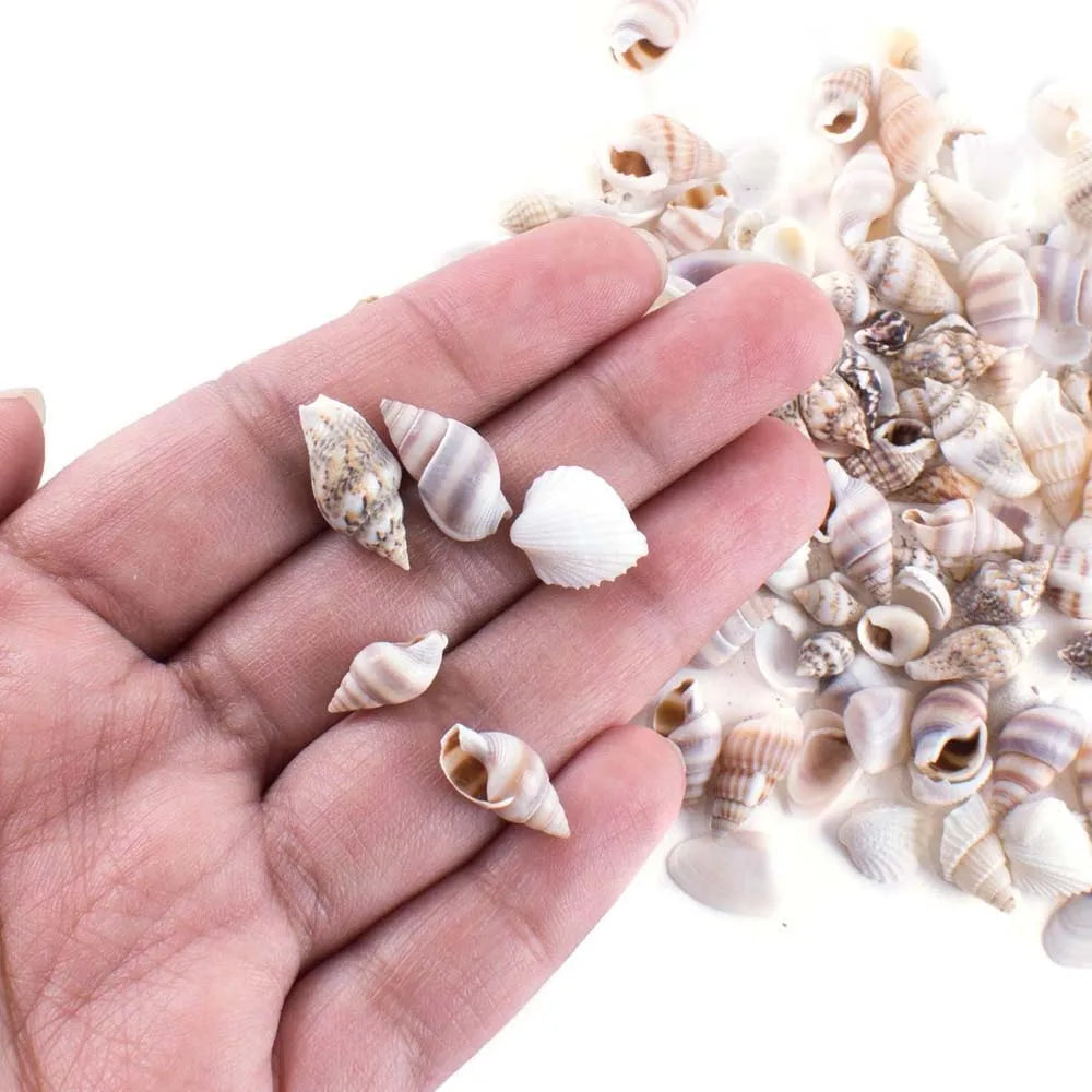 40g About200pcs Tiny Mini Small Sea Shells for Crafting Spiral Conch Shells for Crafts Charms Home Decorations Candle Decor Zpaxo