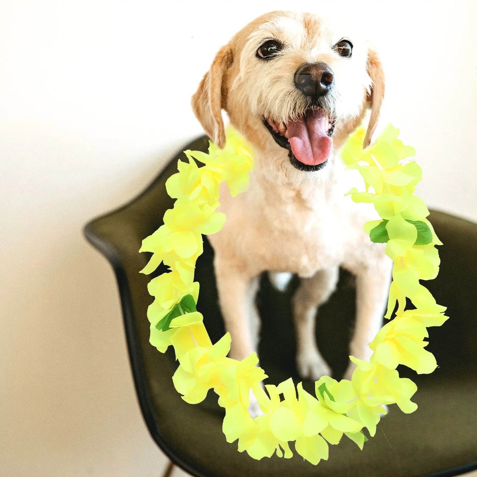 Hawaiian Flowers Loop Pet Neck Garland Exquisite Bright Tropical