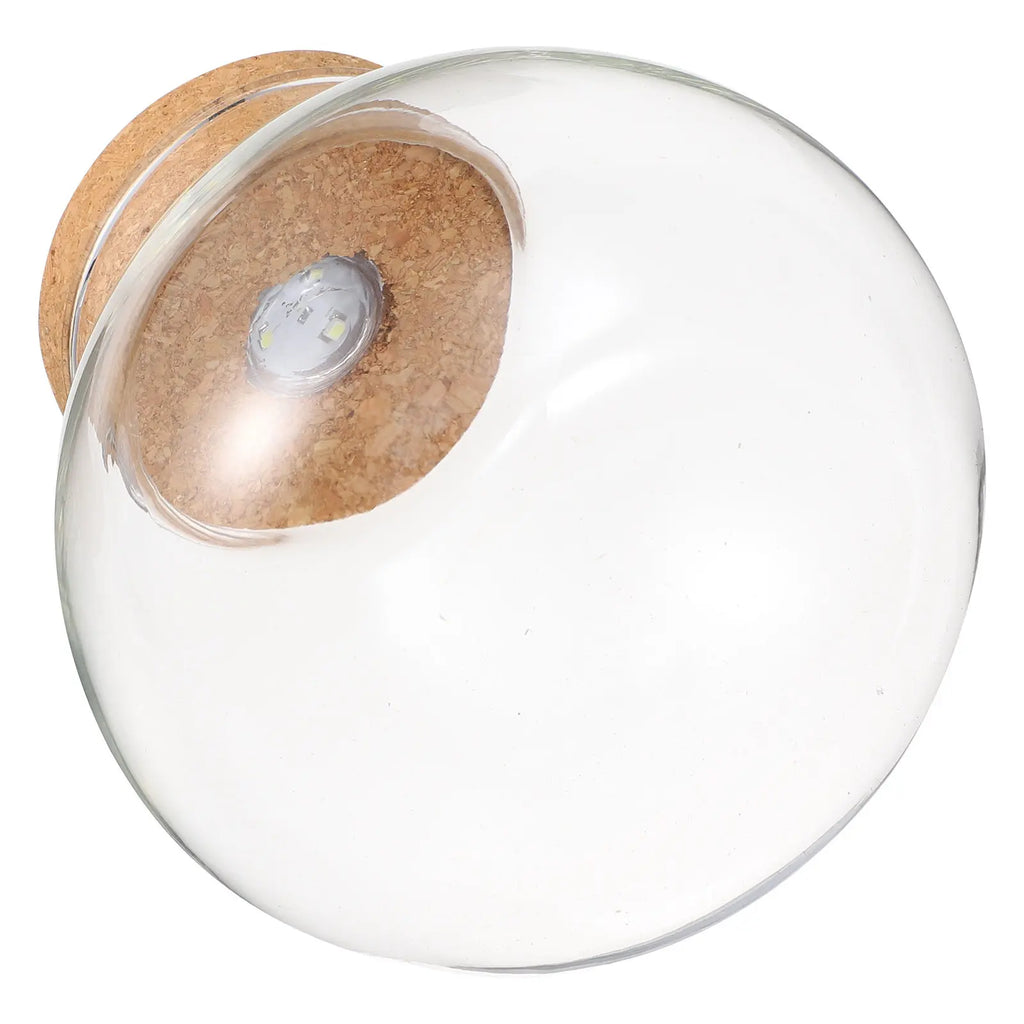 Transparent Borosilicate Glass Micro Landscape Bottle LED Light