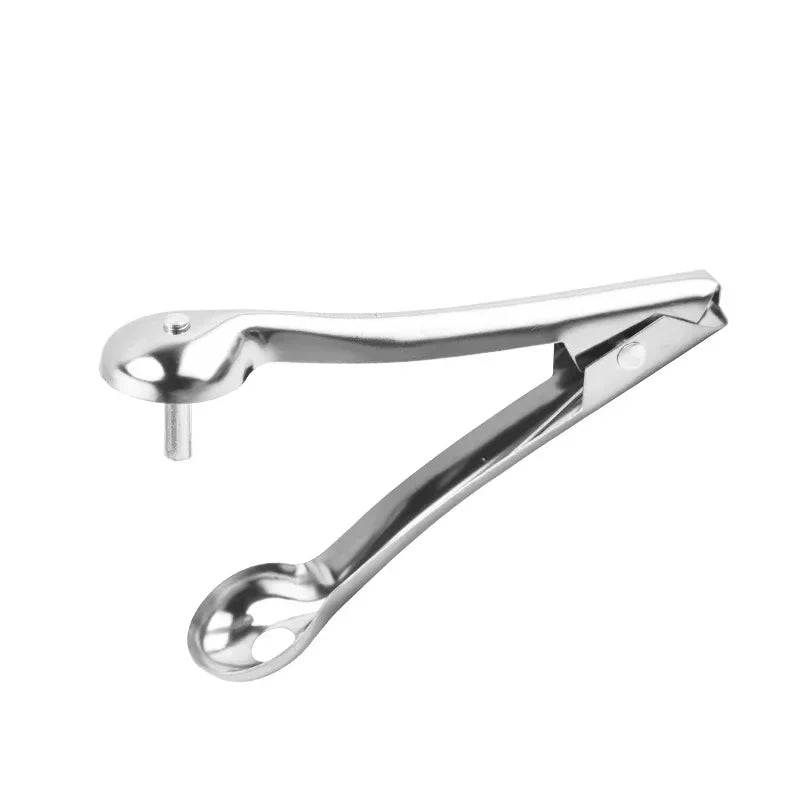 Stainless Steel Cherry & Jujube Pitter Corer | Kitchen Fruit Tool Fruit Pitter Corer Zpaxo Silver