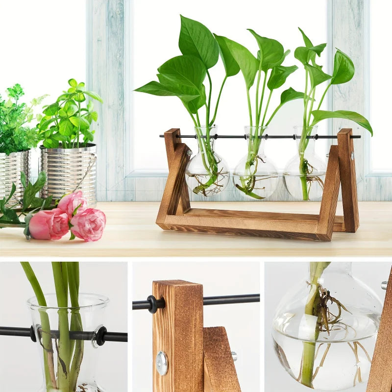 Plant Glass Container Wooden Stand 3 Bulb Planters Nurturing Station