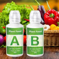 Hydroponic Plant Nutrient Solution Box B Fertilizer Flowers Fruit