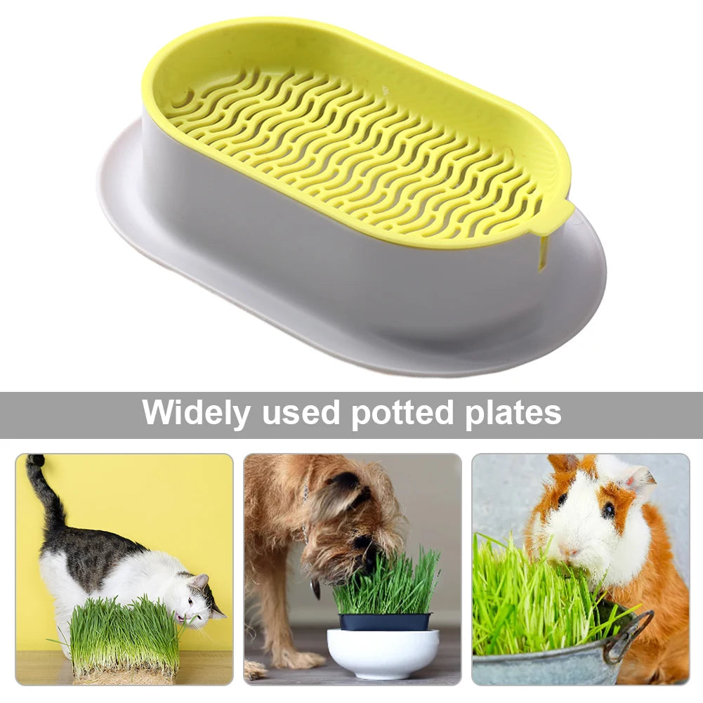 Cat Grass Planter Pet Digestion Growing Tray Box Plastic Nursery