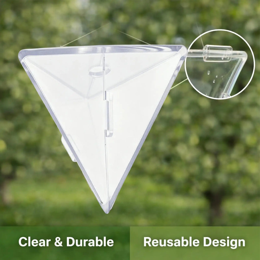 Transparent Fruit Vegetable Growing Molds Reusable Triangle Cube