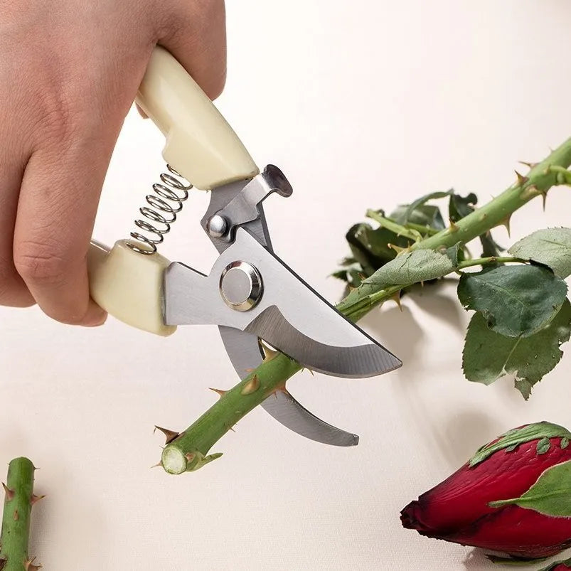 Horticultural Scissors Bird Beak Shape Branch Pruning Labor Saving Pruning Stainless Steel Picking Multifunctional Fruit Scissor Zpaxo