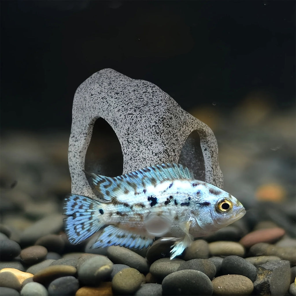 Aquarium Cave Fish Tank Decorations Add Natural Touch Decorative Rocks Zpaxo