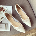 Flat Shoes for Women Spring Summer 2025 New Women's Shoes Mesh Pointed Toe Large Size Flat Bottom for Women Ladies Shoes Zpaxo Beige 39