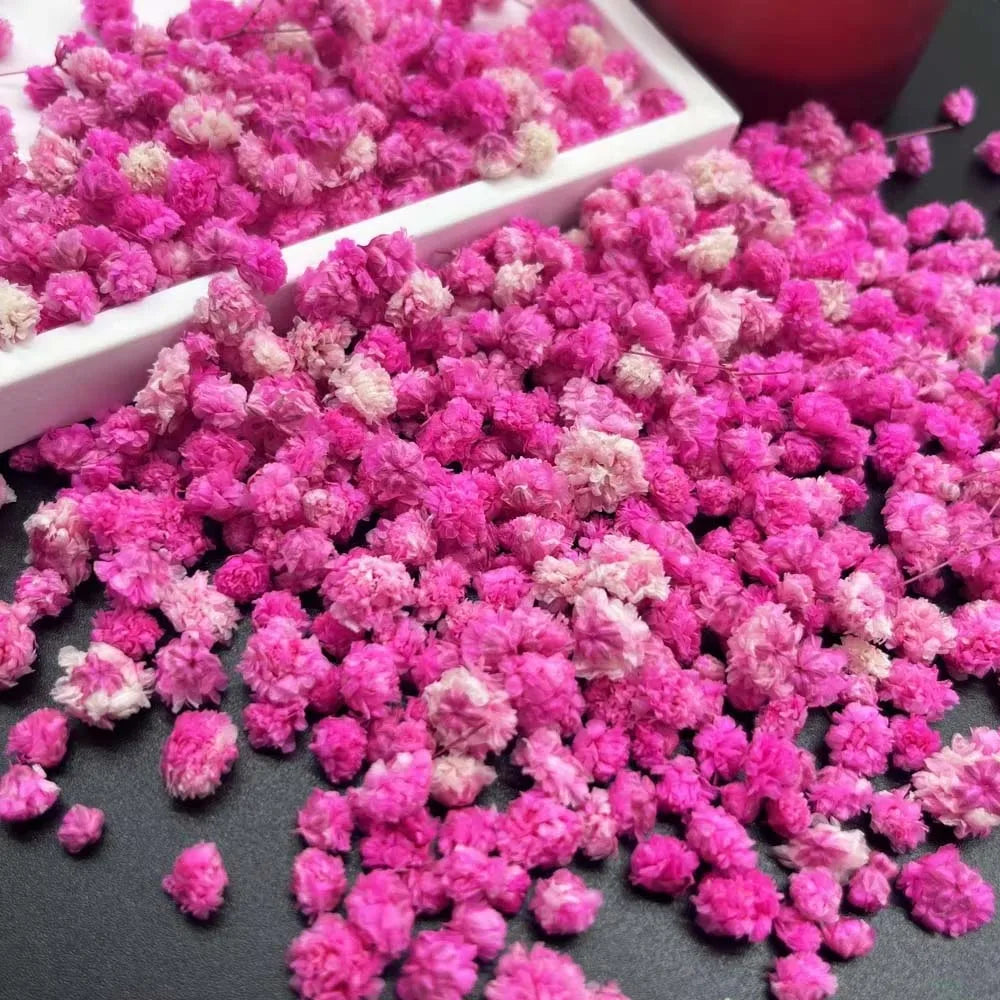Pink Pressed Flower Mix for Resin, Candles, Nails & Soap Crafts Dried Pressed Flowers Zpaxo