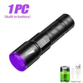 395nm UV Flashlight – Zoomable LED Black Light Torch