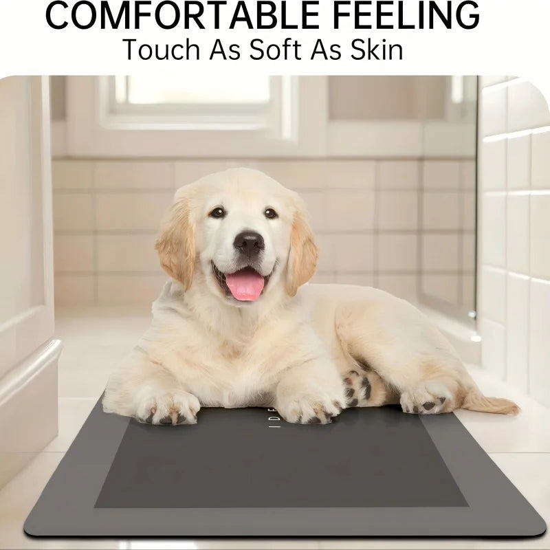 Highly Absorbent Non Slip Bathroom Mat Quick Drying Diatomaceous Zpaxo