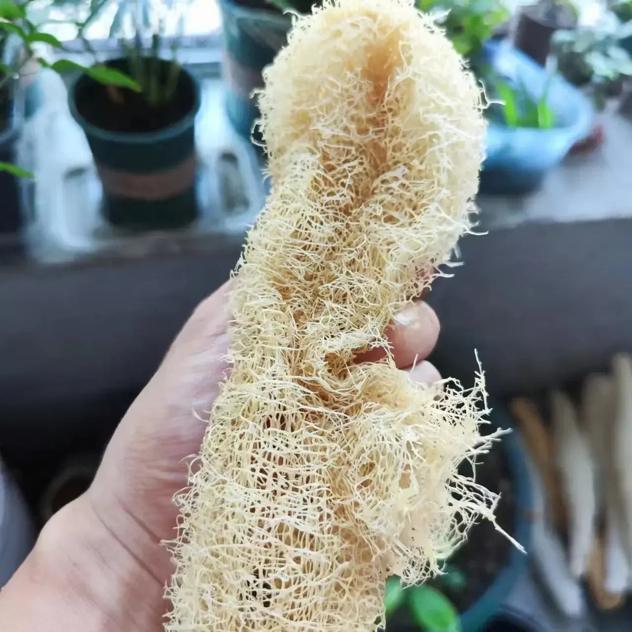 Natural Loofah Scrubber Multi-purpose Cleaning Tool Kitchen Bathroom