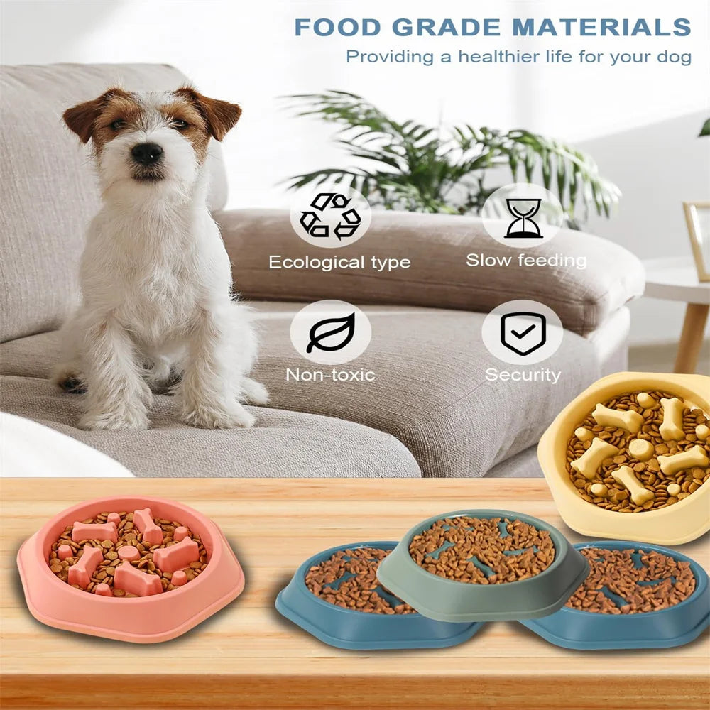 Slow Feed Dog Bowl Slip-resistant Design Promotes Healthy Eating Zpaxo
