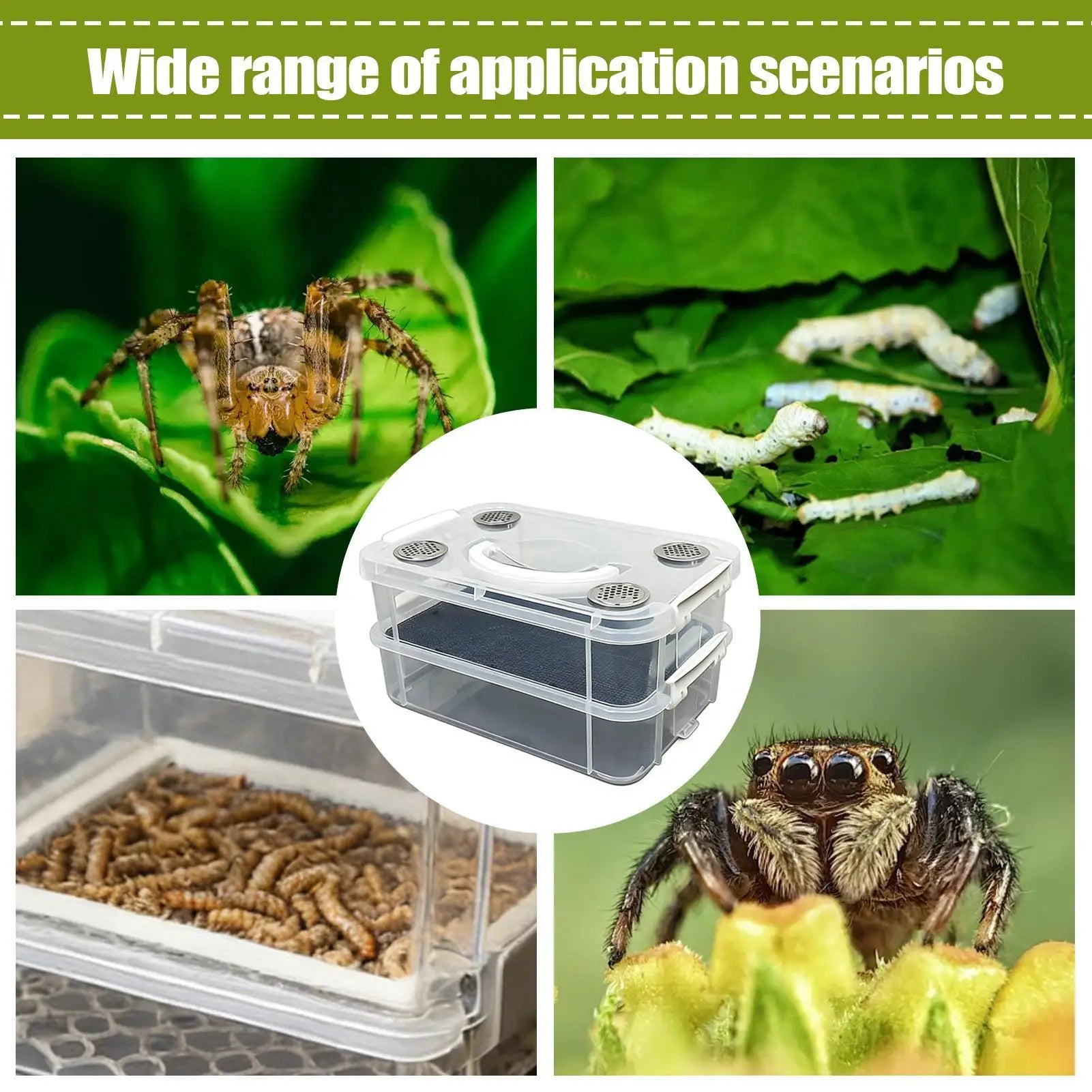 Mealworm Farm Double Layer Transparent Feeding Box Insect Container