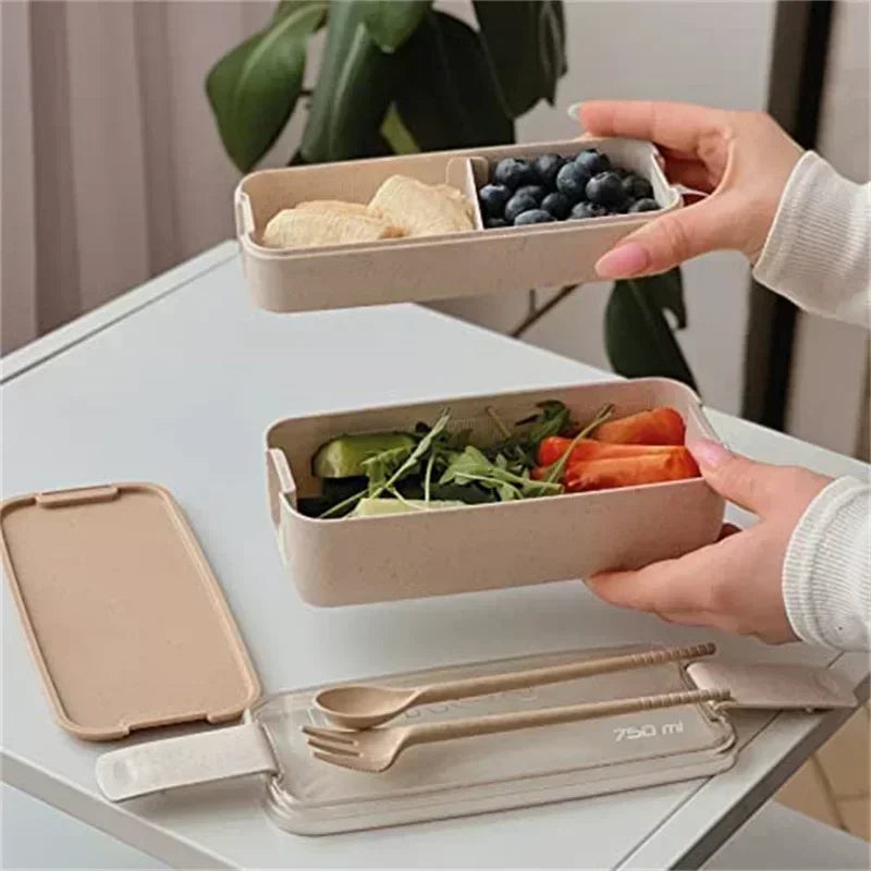 Safe Lunch Food Container Kids Bento Box Leakproof Containers Cute