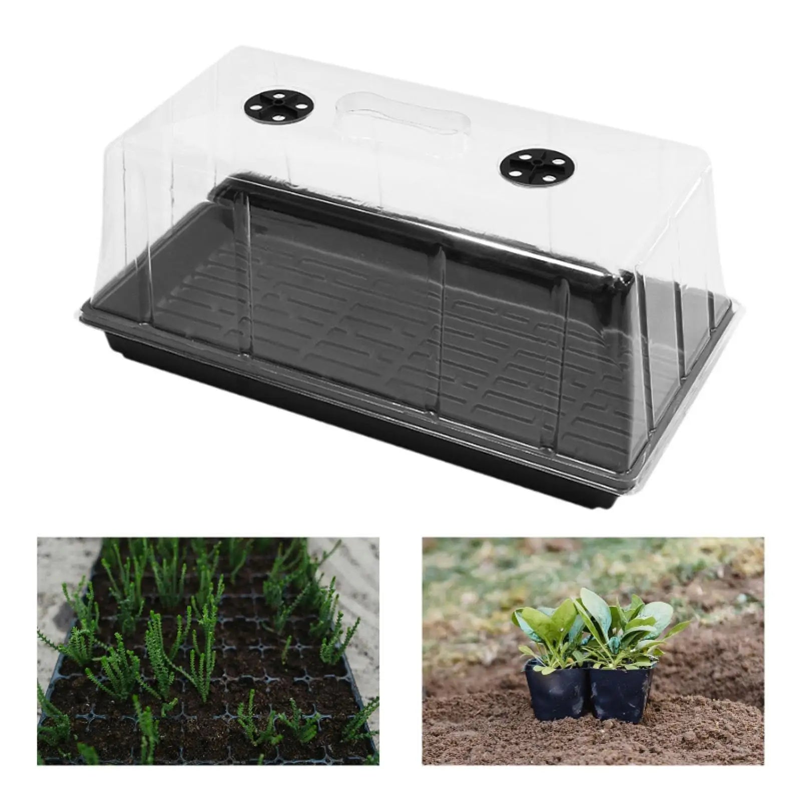 Indoor Gardening Seedling Propagation Tray Cover Plant Starter Zpaxo