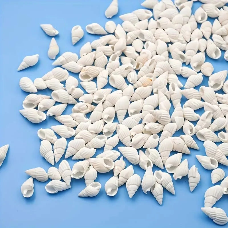 200-Pack Natural Mini White Spiral Conch Seashells for DIY Natural Craft Seashells Zpaxo 200pcs