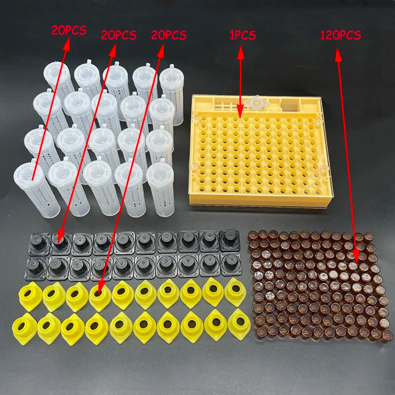 Queen Bee Rearing System Plastic Cell Cage Protection Cover Base Box
