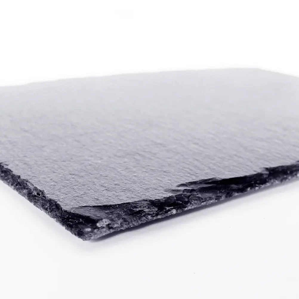 Turtle Reptile Food Dish Plate 10x10cm Moisture Absorbing Natural