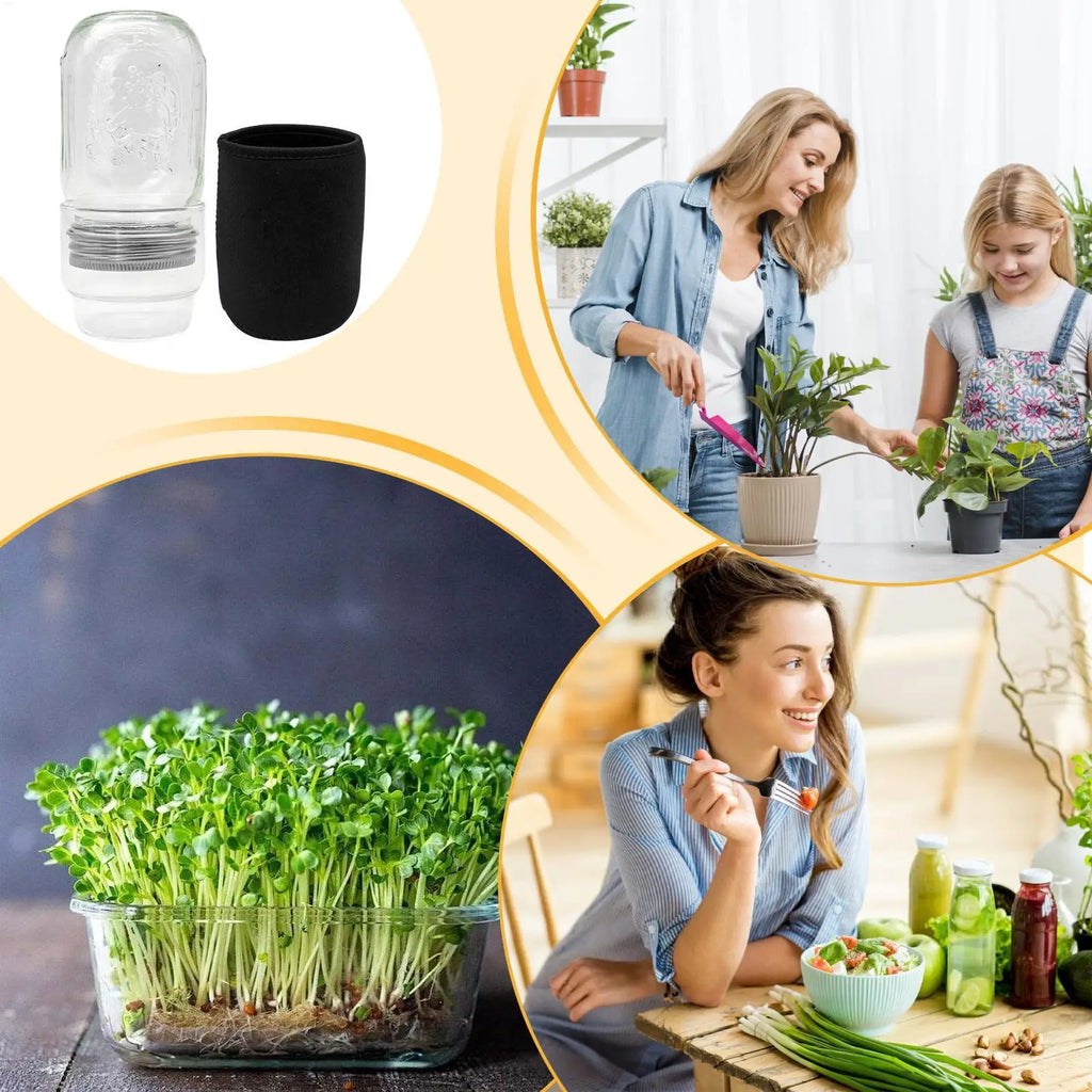 Sprouting Jar Kit Health Vegetables Grow Broccoli Sprouts Growing Kit For Gardeners Beginners Homesteaders Kitchen Countertop Zpaxo