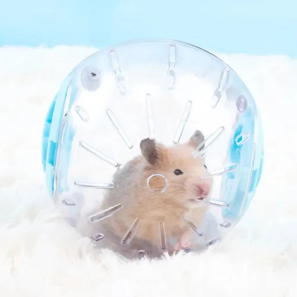 Plastic Outdoor Sport Ball Grounder Rat Small Pet Mice Jogging Toy Zpaxo