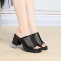 Slippers Women Summer Thick Heel Waterproof Platform Mesh Breathable Zpaxo HC2508 Black 39