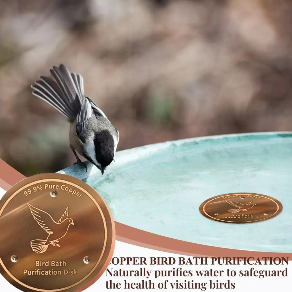 Copper Bird Bath Disc Physical Cleaning Portable Safe Plate
