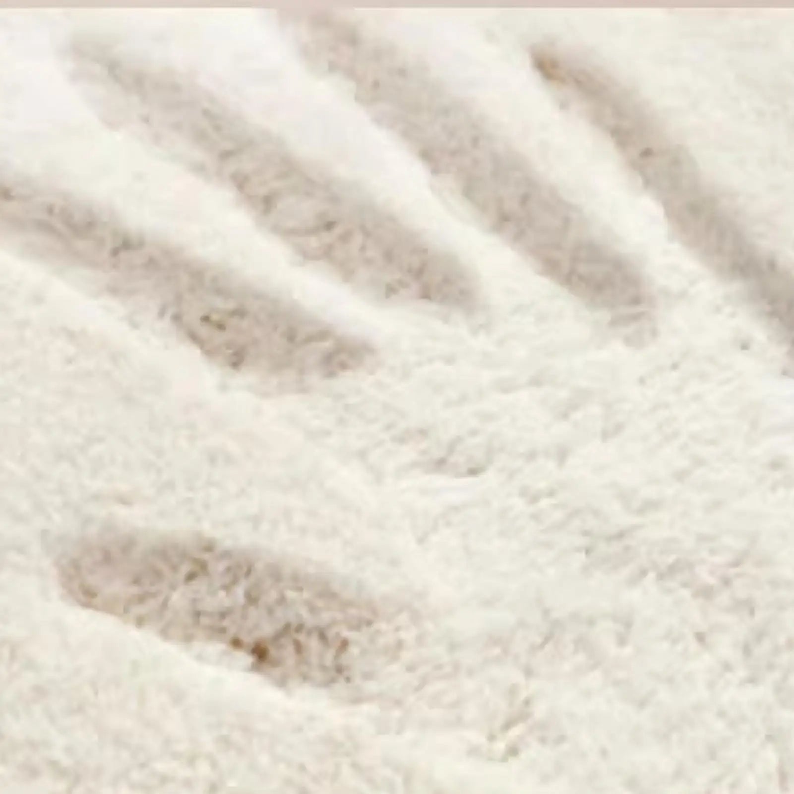 Animal Area Rug Raccoon Pattern Carpet Mat Soft Home Dining Bedroom