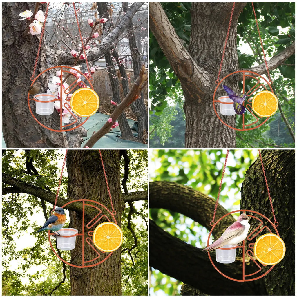 Hummingbird Feeder Hanging Bird Canary Parrot Lark Small Birds