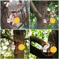 Hummingbird Feeder Hanging Bird Canary Parrot Lark Small Birds