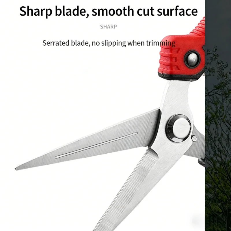 Fruit tree scissors, stainless steel pointed pruning shears, pruning shears, fruit and vegetable pruning shears, flower cutting Zpaxo