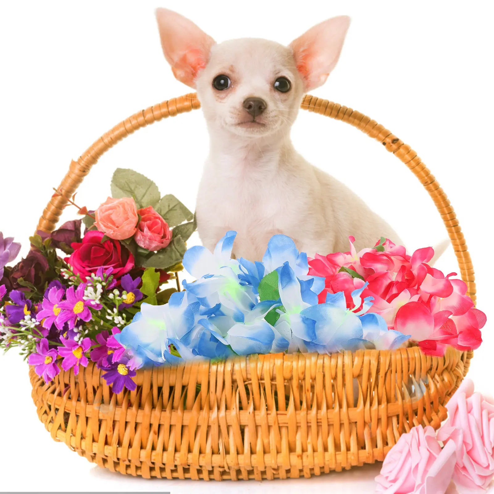 Hawaiian Flowers Loop Pet Neck Garland Exquisite Bright Tropical