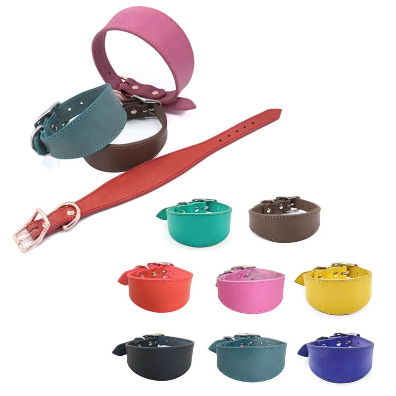 Collar Whippet Leather Soft Suede Pedded Wide Collars Lurcher Italian