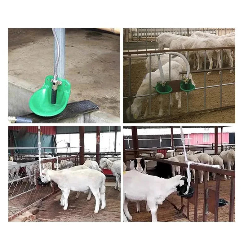 Livestock Sheep Goat Drinker Bowl Copper Value Water Fountain Cattle