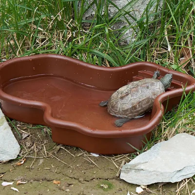 Turtle Feeding Dish Large Reptile Feeder Ramp Basking Stand Food