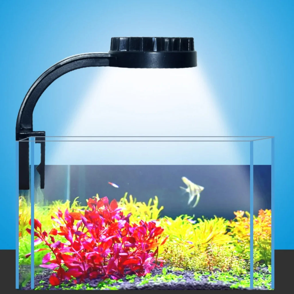 USB Charging Small Fishbowl LED Light Separate Power Switch