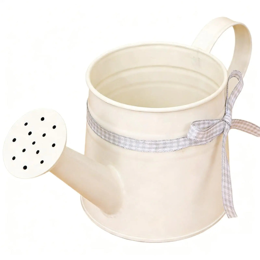 Mini Metal Watering Can – Decorative Indoor Plant Sprinkler Decorative Watering Can Zpaxo
