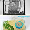 Aquariums Water Flows Adjuster With Floating Arm Silicones Fish Tanks Water Flows Diffuser for Cleaner Water Zpaxo CN