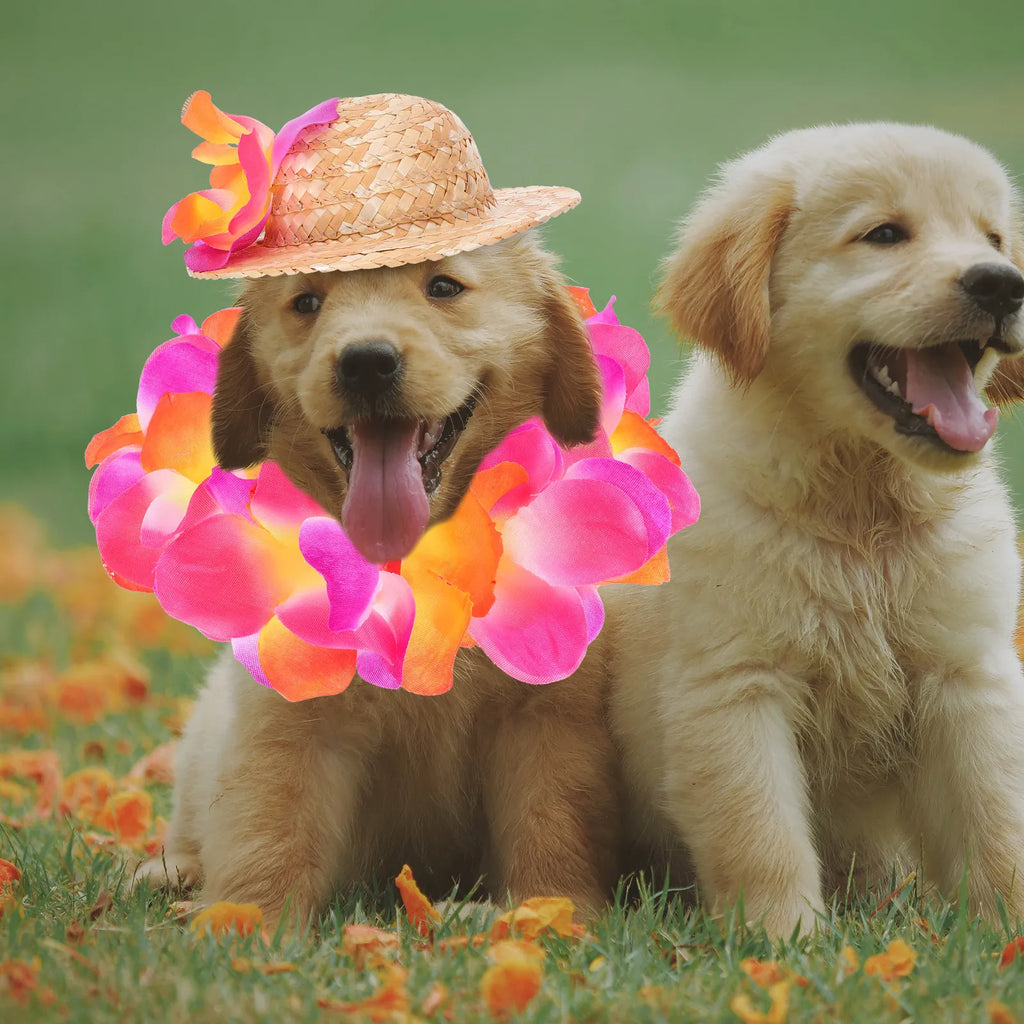 Pet Clothing Puppy Hawaiian Costume Breathable Straw Hat Garland