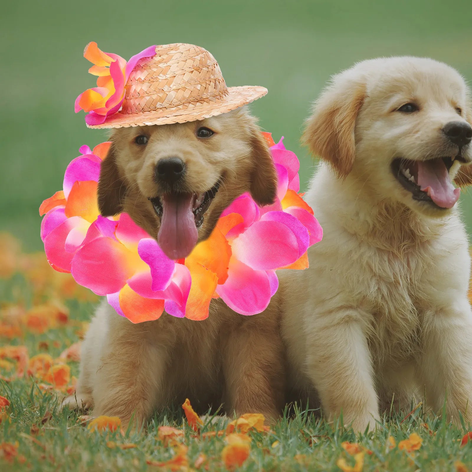 Pet Clothing Puppy Hawaiian Costume Breathable Straw Hat Garland