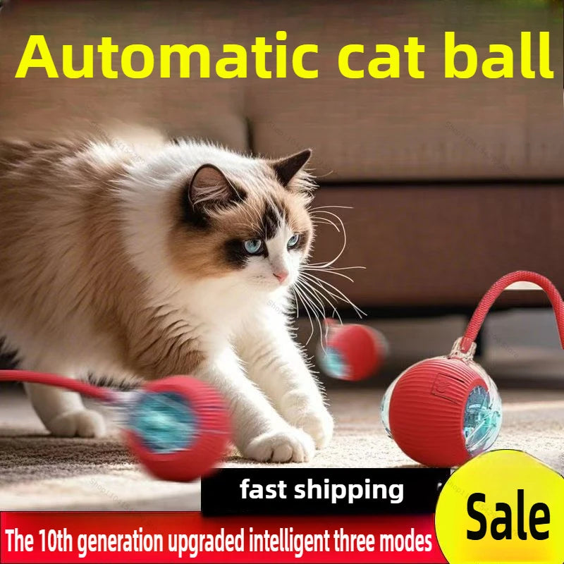 Interactive Toys for Cats Rechargeable Cat Exercise Wheel Interactive Cat Motion Toy Cat Pet Interaction Automatic Rolling Ball Zpaxo