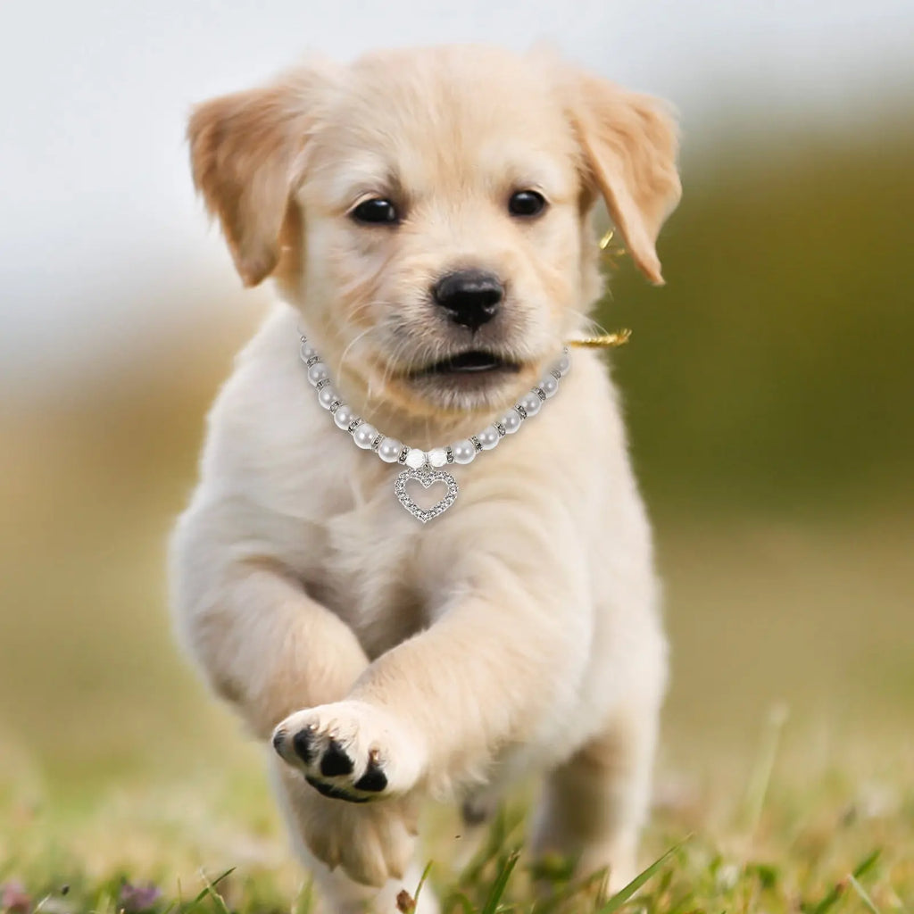 Dog White Pearl Collar Elegant Charming Lightweight Comfortable Pet