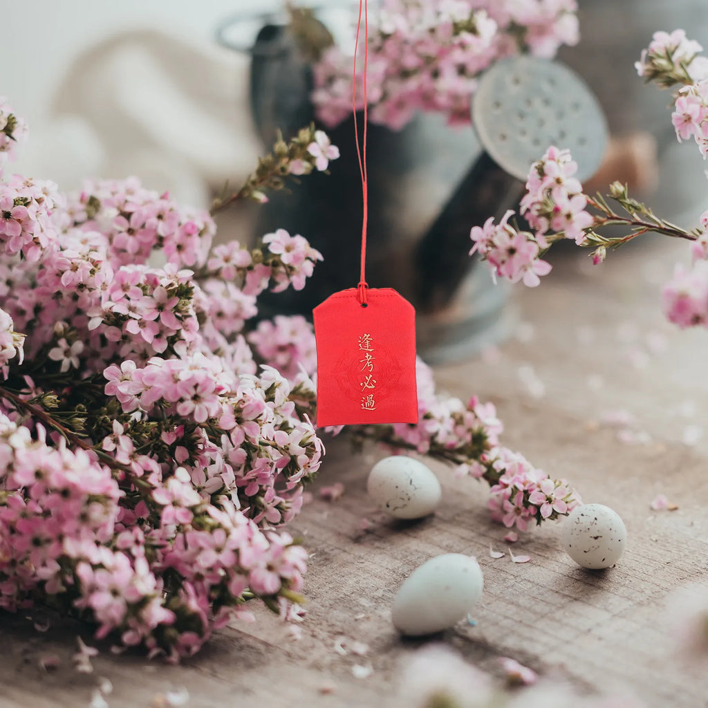 Traditional Chinese Sachet Pendant Graduation Favor Elegant