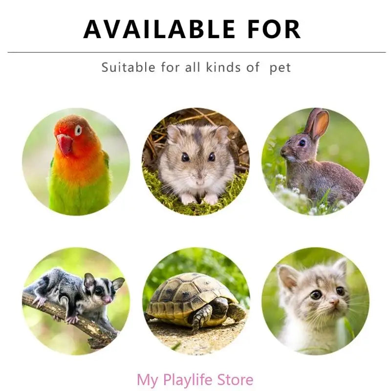 Pet Bite-resistant Gloves Anti Scratch Thickened Hand Protection Pet Training Assistant For Cats Dogs Squirrels Hamsters Birds Zpaxo