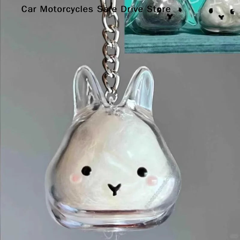 APet Hair Memorial Keepsake Box Bottle Transparent Storage Container
