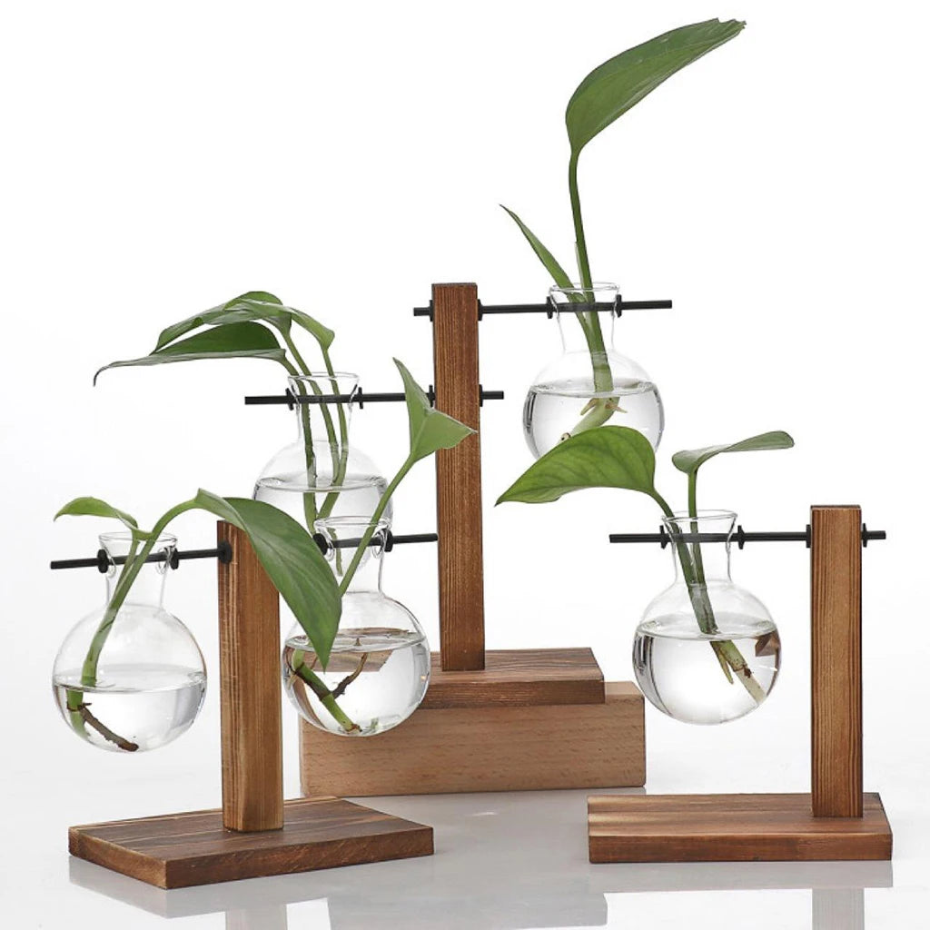 Glass Bulb Vase with Wooden Stand | Hydroponic Desktop Planter Hydroponic Glass Vase Zpaxo