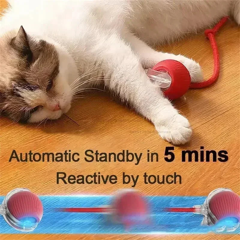 Electric Cat Ball Toys Automatic Rolling Ball Faux Tail Rechargeable Pet Interactive Toy Dog Cat Training Imitate Mouse Pet Toys Zpaxo