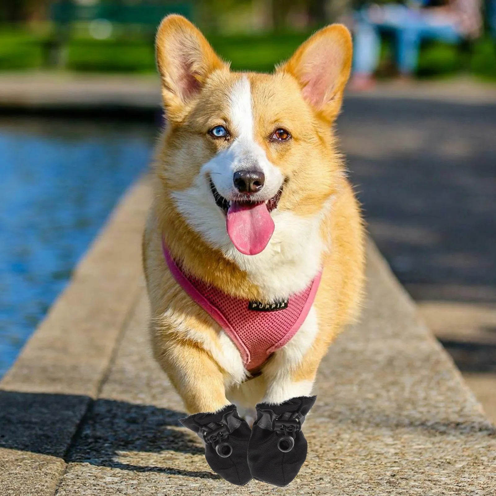 Drawstring Dog Booties Small Dogs Nonslip Waterproof Breathable Puppy