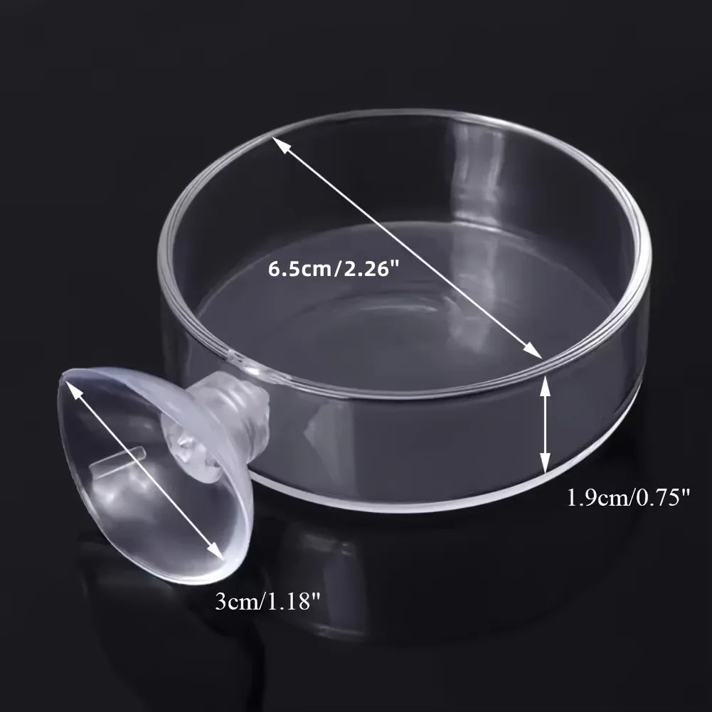 Fish Tank Feeder Aquarium Shrimp Acrylic Feeding Bowl Clear Dish Tray